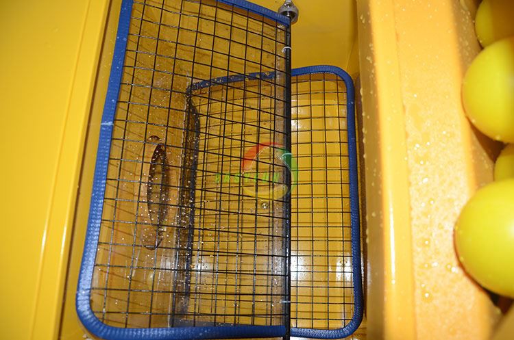 wash ball pool machine